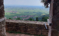 Ausflug der Nuggets zur Rietburg – Ein Tag voller Mut, Ausblick und Teamgeist